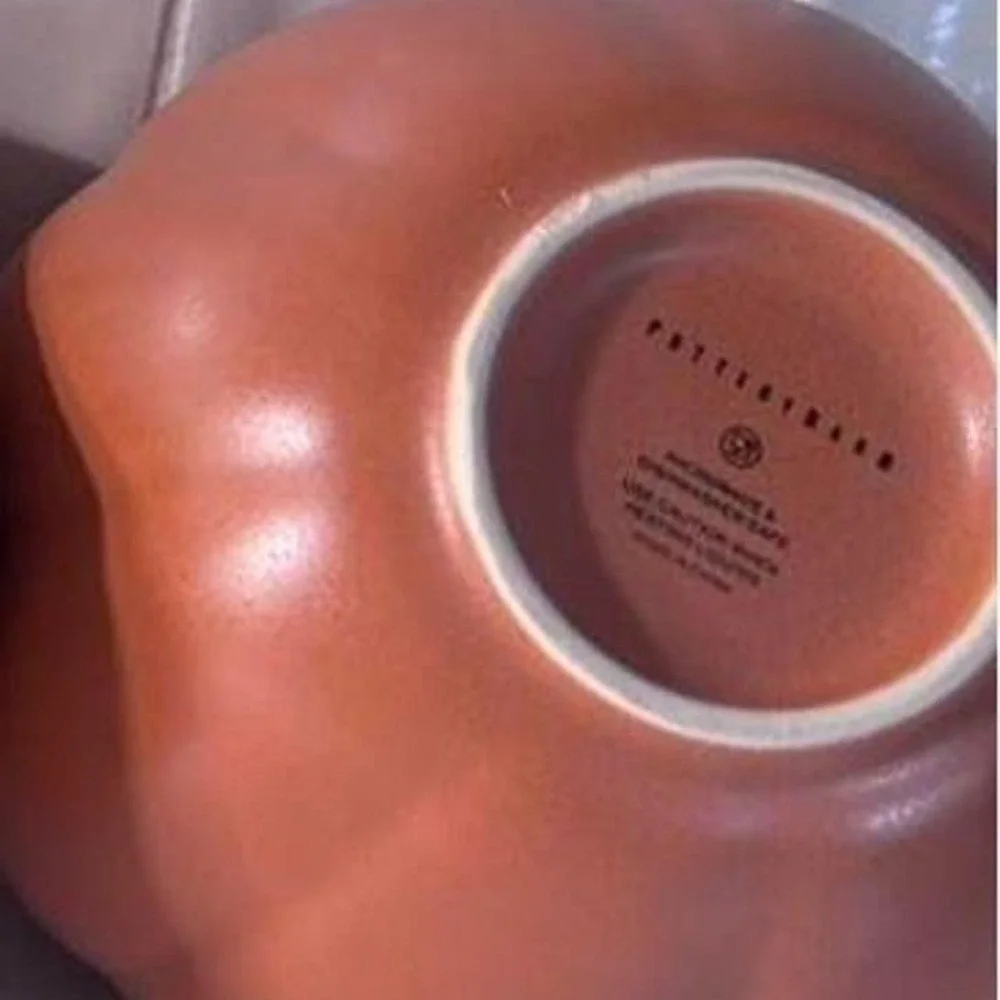 Pottery barn 2024 pumpkin mug